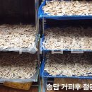 송담 이미지