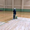 군산실내배드민턴장 이미지