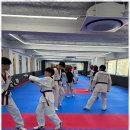 신정 태권도장 이미지