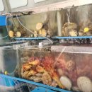 백령도 횟집 이미지