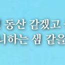 물덴동산 이미지