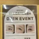 올데이래쉬 이미지