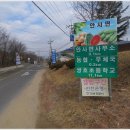 해망산농장 티스토리