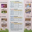 양재서리풀노리학교 이미지