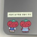 [오사카] ｡ﾟ(ﾟ´ω`ﾟ)ﾟ｡ 100일!