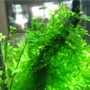 (주)우리노리 이미지