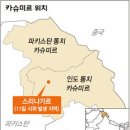 카슈미르 티스토리