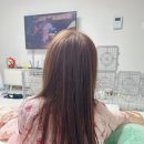 헤어 르시안