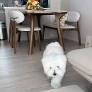 공주고고셀프세차타운 | 25년 11월 면탈, 필탈, 문동은 그 외..