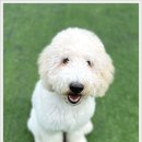 아이조아 요양보호소 경기광주 이미지