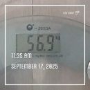 포레823 | 9월 17일부터 24일까지 일상 사랑니 발치