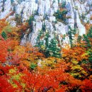 금강산