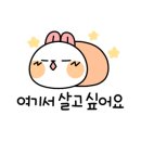 광안비치호텔더엠 이미지