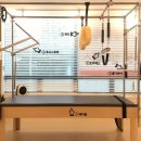스프링테이블(spring_table) 이미지
