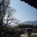 스테이더담 밀양금산점 이미지