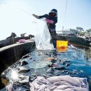 법환동-15 이미지