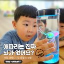 제주영락어린이집 이미지