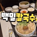 백칼국수 | 포항 칼국수 맛집 만두까지 존맛 장성동 백밀칼국수 후기
