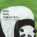 판다컴퍼니
