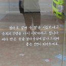 순희의옷 네이버블로그
