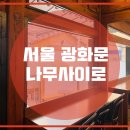 카페나무 이미지