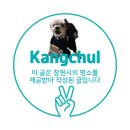 진해루 | 창원 강아지 산책 장소 추천 진해루 반려동물 동반 후기 강아지와 가볼만한 곳 진해 애견동반 카페