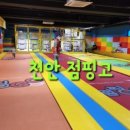 플레이점핑고