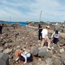 우도중학교 이미지