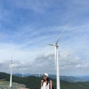 매봉산 바람의언덕 | [태백 가볼만한 곳] "바람의 언덕" 태백 매봉산, 이국적인 바람의 언덕(포토존, 주차, 화장실) 방문 후기!