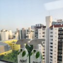 피톤치드 스프레이 냄새제거로 딱좋은 퓨리즈