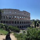 콜로세움 이미지