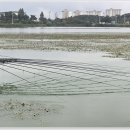 삼성낚시터 이미지