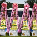 병곡초등학교 이미지