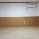가야쇼핑