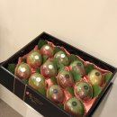 달푸르츠 이미지