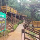 야영장(1) 이미지