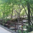 삼정야영장 화장실 이미지