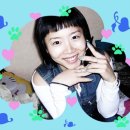 (주)가이아 이미지