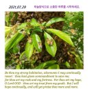 하늘29 이미지
