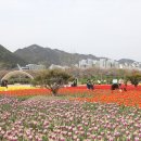 황산 캠핑장 이미지