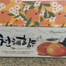 거북농장 | 제주 천혜향을 구매하다 with 거북농장(크기,모양,맛 솔직후기)