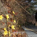 권호욱 이미지