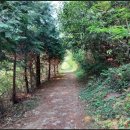 남해-195 이미지