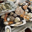 [화성] 궁평항 수산시장에서 조개구이, 맛조개에 낮술 한 후기