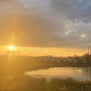 영천강변체육공원주차장 이미지