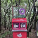 둘레길4구간 | 서울 둘레길 4구간 후기 — 가을의 문턱에서 느낀 소소한 행복