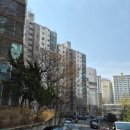 신당어린이집 | [중구]신당현대 임장후기