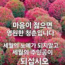 천수 Daum카페
