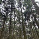 주형목장 이미지