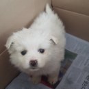 풍각면사무소 이미지